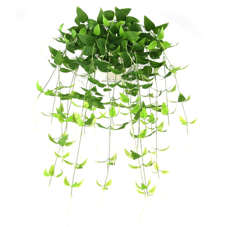 6C37 Honeysuckle Leaves Decoration Artificial Plants Artificial Plants